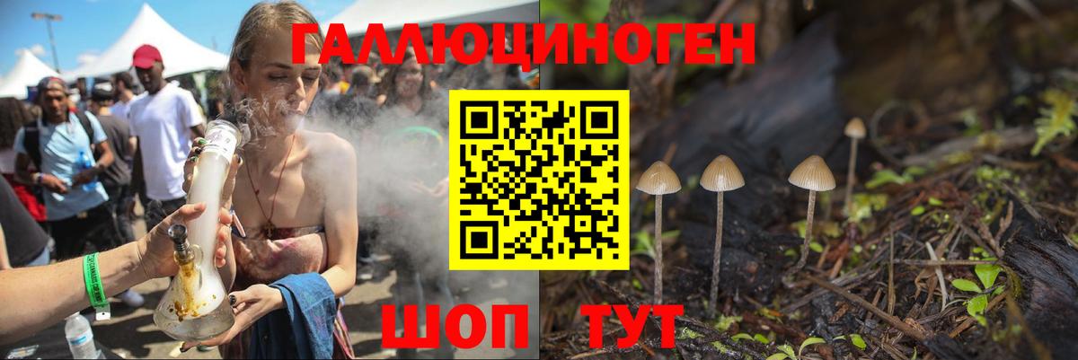 Холмск  Псилоцибиновые грибы MAGIC MUSHROOMS  Вход с VPN 