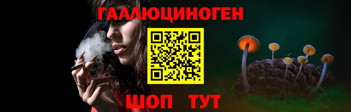 Псилоцибиновые грибы прущие грибы Холмск